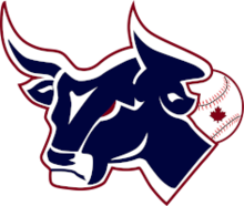 Lethbridge Bulls