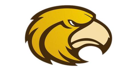 Laguna Hills Hawks