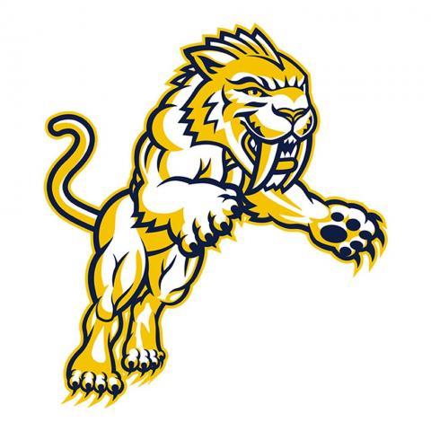 Maranatha Baptist University Sabercats