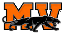 Medina Valley Panthers