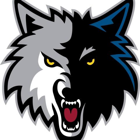 Moreno Valley Timberwolves