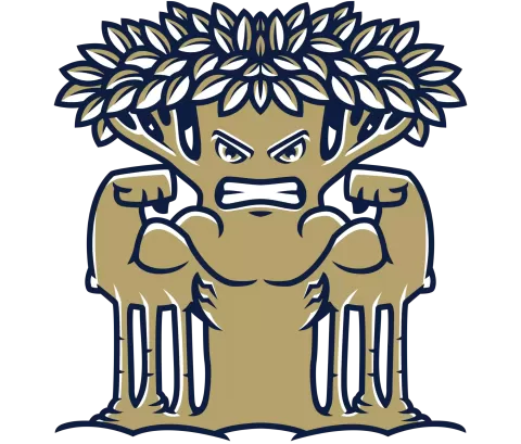 New College of Florida Mighty Banyans