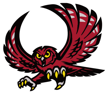 Ninnekah Owls