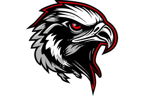 North Buncombe Black Hawks