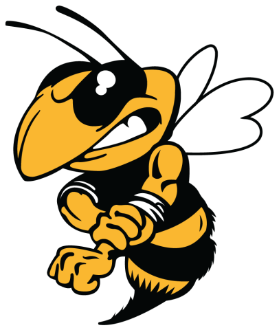 Novato Hornets