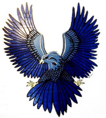 Oakesdale Nighthawks