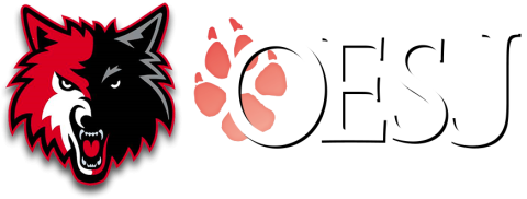 Oppenheim-Ephratah-St. Johnsville Hawks