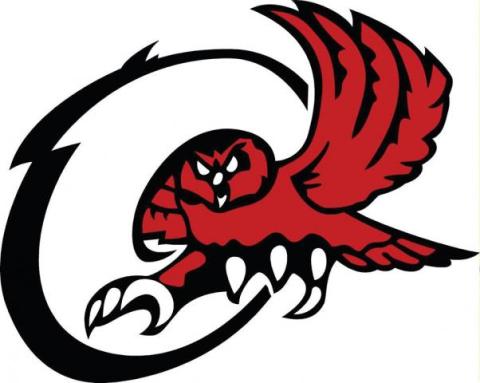 Ooltewah Owls