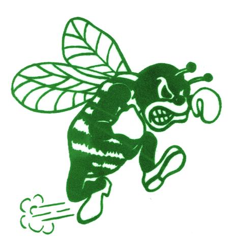 Pemberton Township Hornets