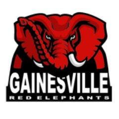 Gainesville Red Elephants