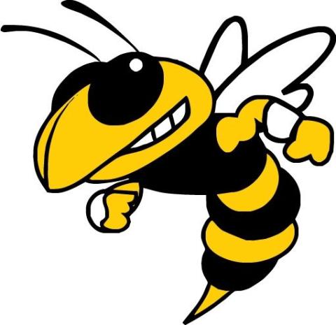 Roanoke Rapids Yellowjackets