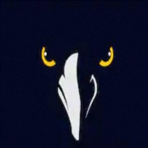 Raymond-South Bend Ravens