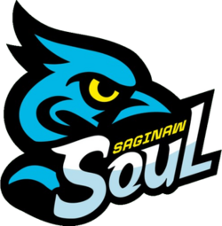 Saginaw Soul