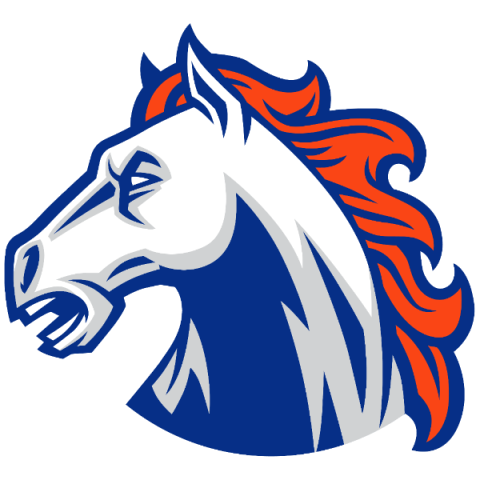 Southeast Alamance Stallions
