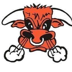 Schulenburg Shorthorns