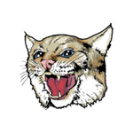 Sherman Central Wildcats