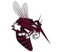 Mesquite Skeeters