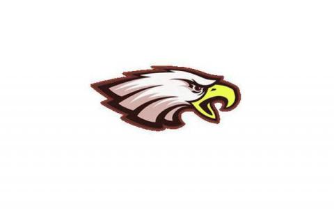 Solon Springs Eagles