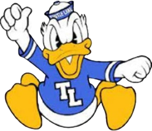 Toutle Lake Ducks