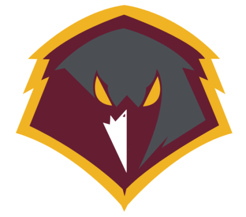 University of Charleston Golden Eagles