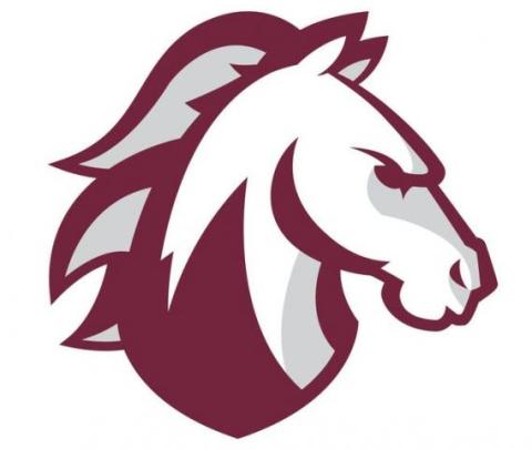 Evangel University Valor