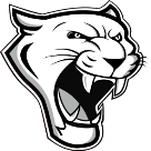 Viborg-Hurley Cougars