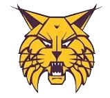 Webster City Lynx