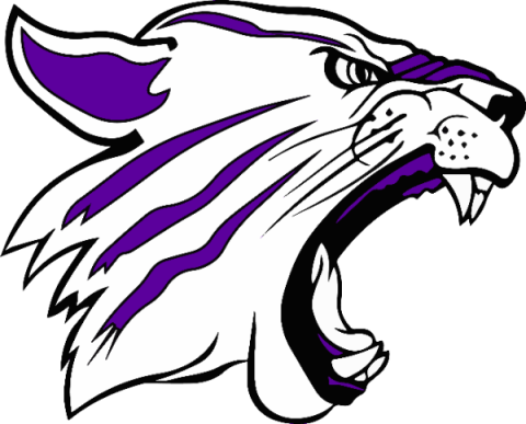 West Stokes Wildcats