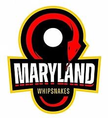 Maryland Whipsnakes